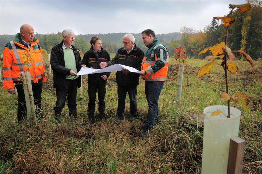 Neuer Wald in Ergste - 13.000 Bäume gepflanzt Am Michaelisweg in Schwerte-Ergste hat die Regionalniederlassung Südwestfalen im Rahmen einer Waldumbaumaßnahme einen bestehenden 2,9 Hektar großen Fichtenbestand in eine Ausgleichsfläche für im Zuge von verschiedenen Baumaßnahmen entfallende Gehölzflächen umgewandelt.