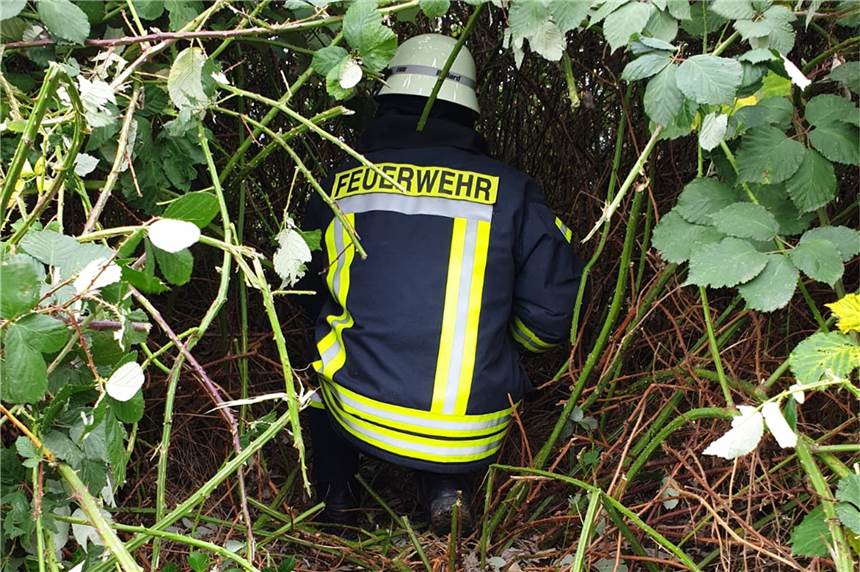 Stockum: Haustier verirrt sich im Dornenbusch – Feuerwehr rückt aus Am Montagmittag wurde die Freiwillige Feuerwehr Werne zu einem ungewöhnlichem Einsatz ge