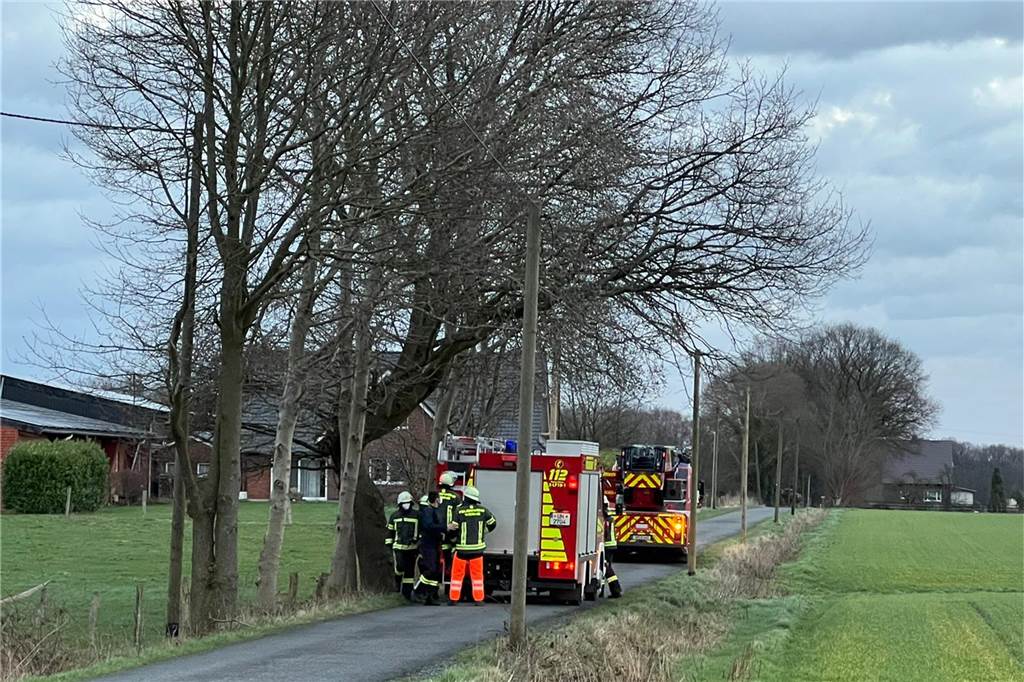 Ticker zum Sturm in Werne und Ascheberg: Antonia trifft ein - Ausfälle bei der Eurobahn Am Nierstenholz war ein Baum auf eine Stromleitung gefallen.
