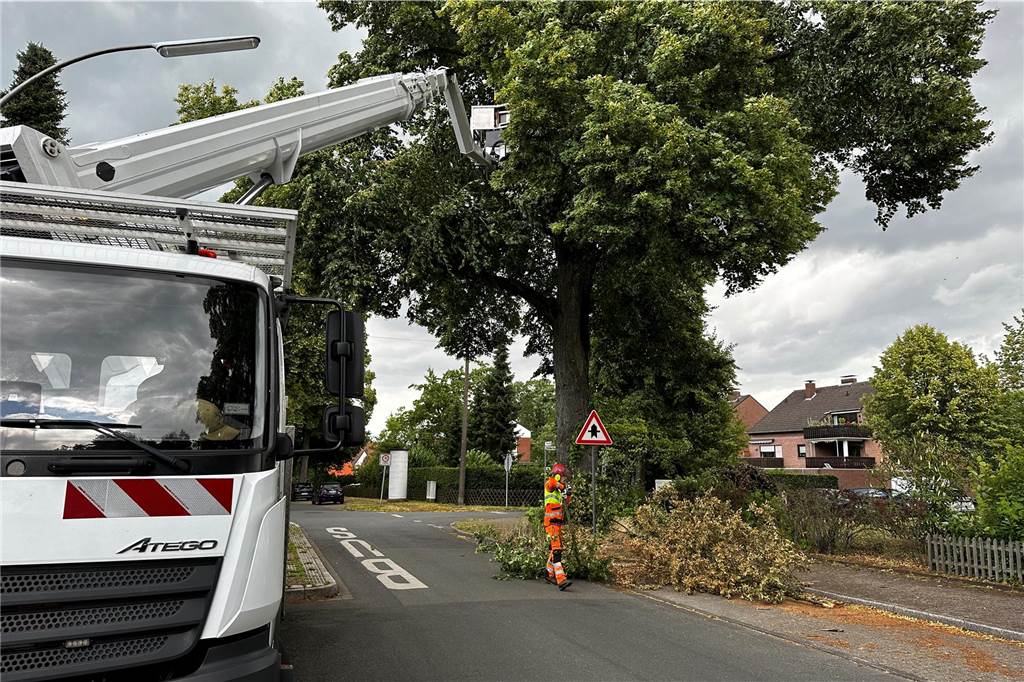 Unwetterwarnung in Dorsten: Sturm sorgt für Feuerwehreinsätze Am Orthöver Weg in Wulfen beseitigten Arbeiter der Stadt Äste, die auf die Fahrbahn zu fallen drohten.