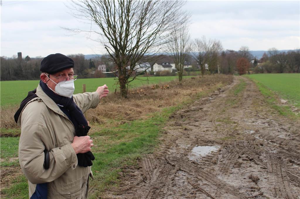 Wer hat die Rodung am Osthellweg veranlasst? Kandidaten gibt es viele Am Osthellweg ist ein rund hundert Meter langer Hain am Rande der Straße gerodet worden. Anwohner Manfred Rommel ärgerte sich und meldete sich in der Redaktion.