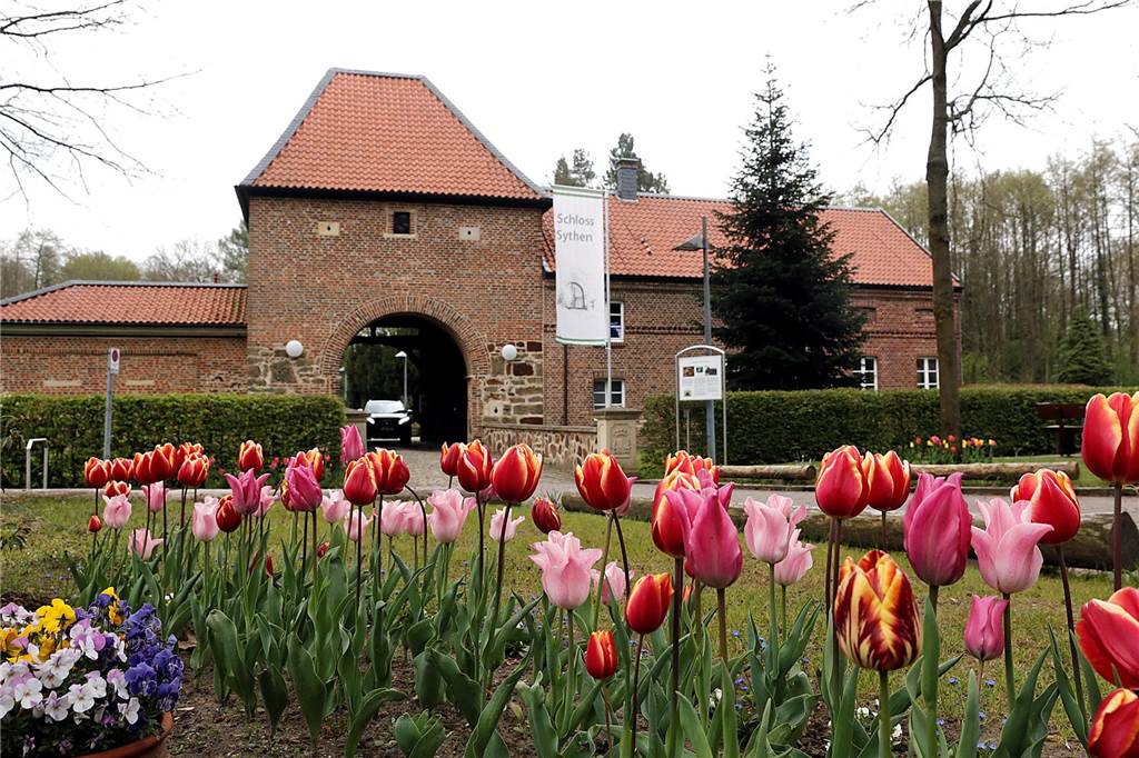 Motorrad-Oldtimer in Haltern: Rallye mit Stopp am Schloss Sythen Tulpen blühen am Schloss Sythen.