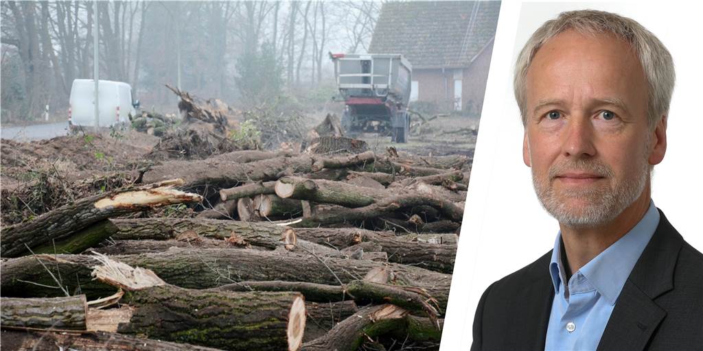 Nach dem Kahlschlag: Baumschutz braucht Überzeugung und klare Regeln Am Schützenweg in Stadtlohn sind viele Eichen gefällt worden, obwohl es nicht nötig war. Das darf einfach nicht passieren, findet unser Autor Stefan Grothues.