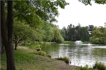 Am Stadtsee an der Saline ist ein 35-Jähriger aus Werne schwer verletzt worden.