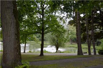 Am Stadtsee haben Unbekannte einen 35-Jährigen schwer verletzt.