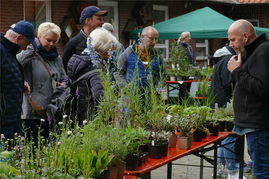 Musik und mehr am Tag der Artenvielfalt: Pflanzen und Tipps für Gartenfans