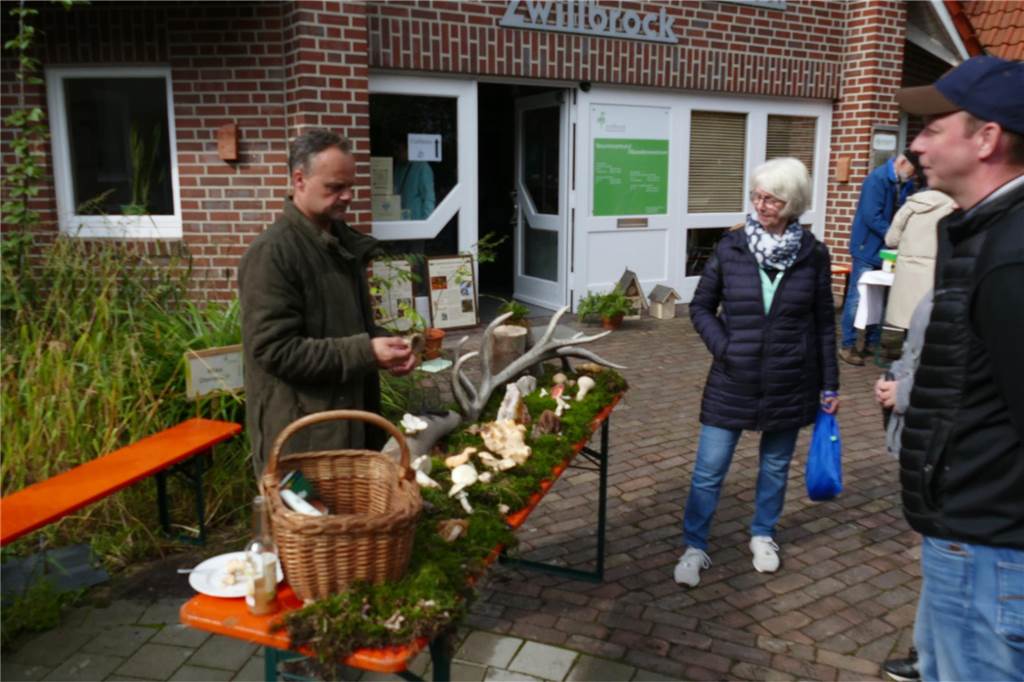 Musik und mehr am Tag der Artenvielfalt: Pflanzen und Tipps für Gartenfans