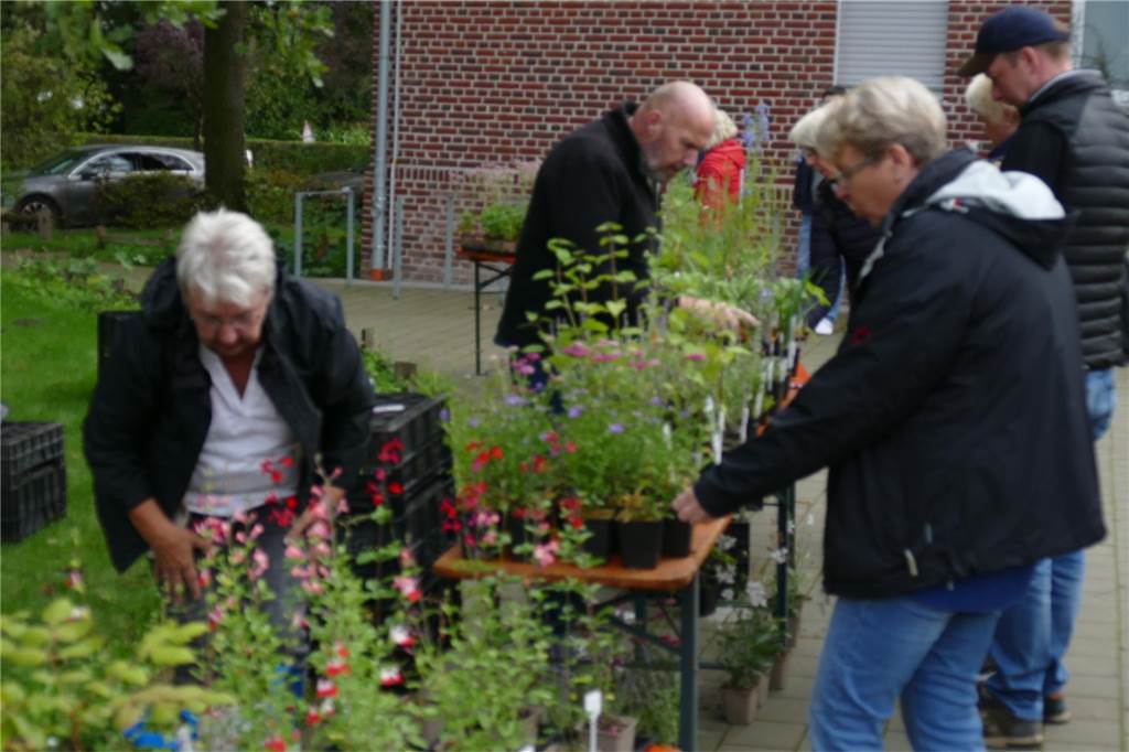Musik und mehr am Tag der Artenvielfalt: Pflanzen und Tipps für Gartenfans