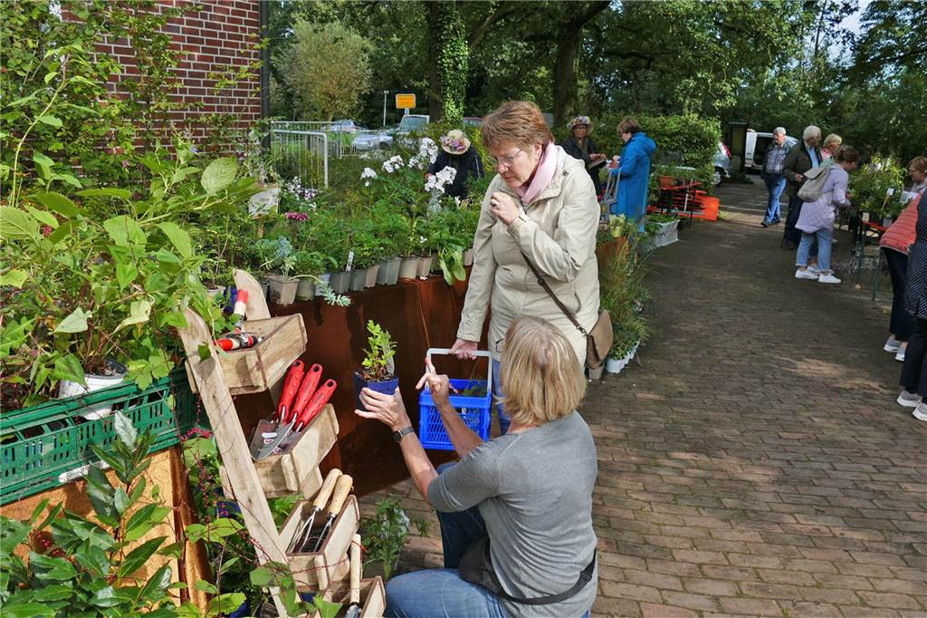 Musik und mehr am Tag der Artenvielfalt: Pflanzen und Tipps für Gartenfans