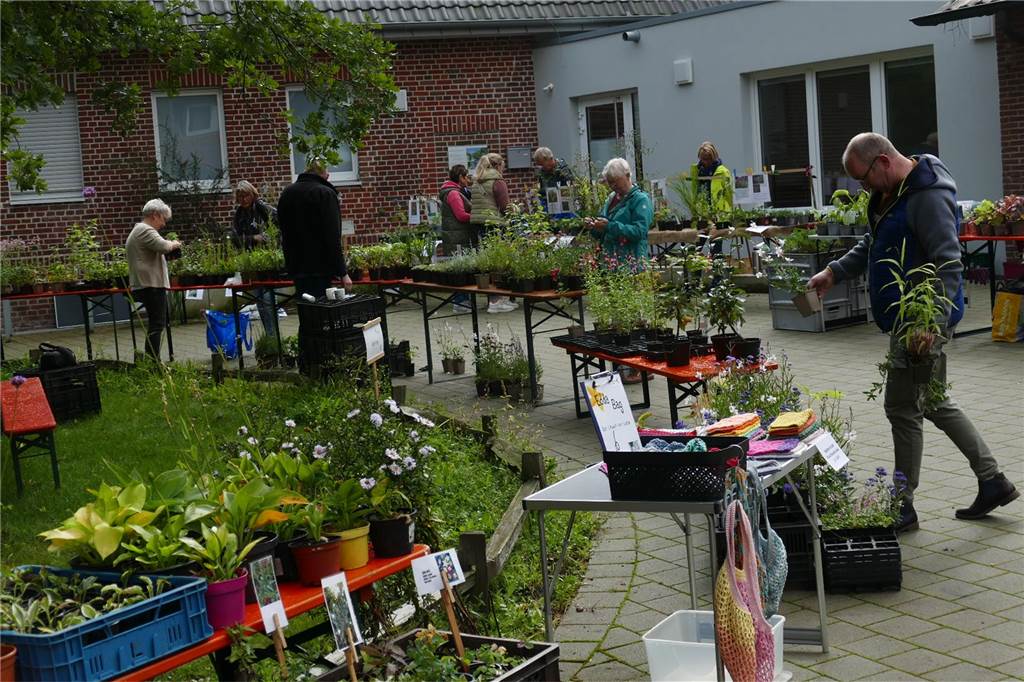 Musik und mehr am Tag der Artenvielfalt: Pflanzen und Tipps für Gartenfans