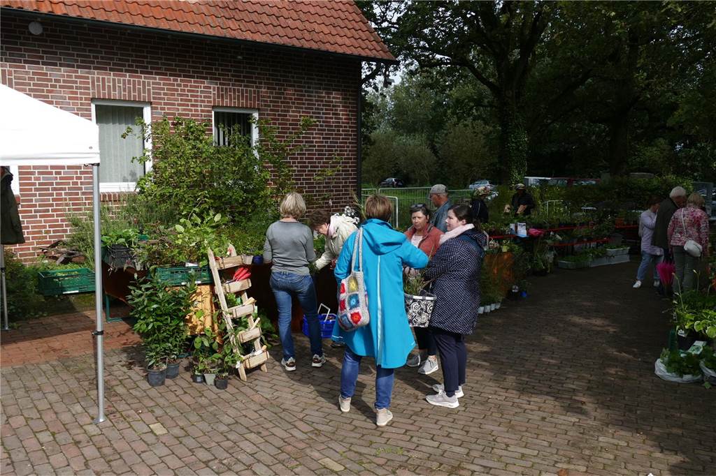 Musik und mehr am Tag der Artenvielfalt: Pflanzen und Tipps für Gartenfans