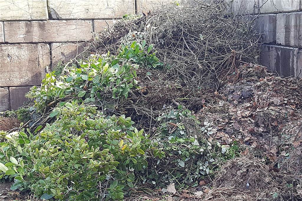 Wohin mit dem Grünschnitt? Drei Möglichkeiten und klare Regeln in Schwerte Am Wertstoffhof der Stadt an der Schützenstaße 67 kann man das ganze Jahr über seinen Grünschnitt abgeben.