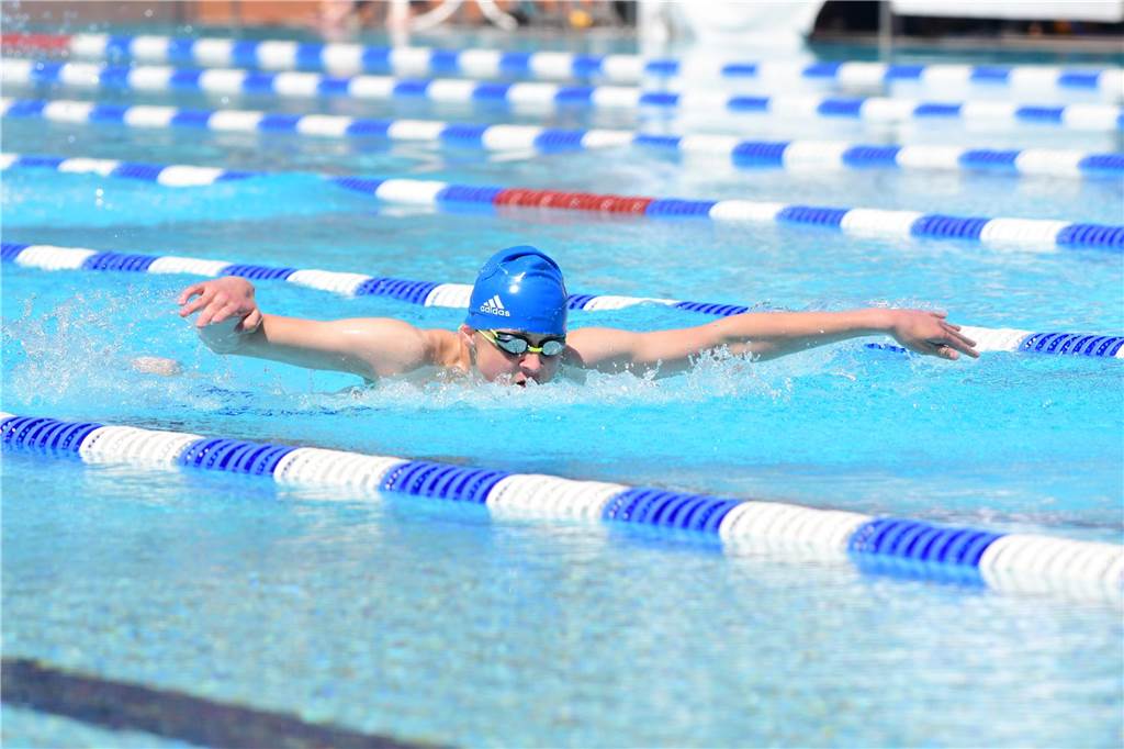 Am Wochenende fand zum 22. Mal das Salinenschwimmfest in Werne statt. Ausrichter waren wieder die TV Werne Wasserfreunde.