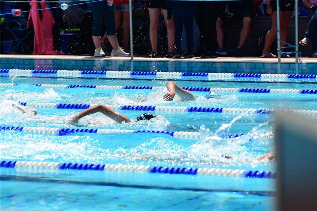 Am Wochenende fand zum 22. Mal das Salinenschwimmfest in Werne statt. Ausrichter waren wieder die TV Werne Wasserfreunde.