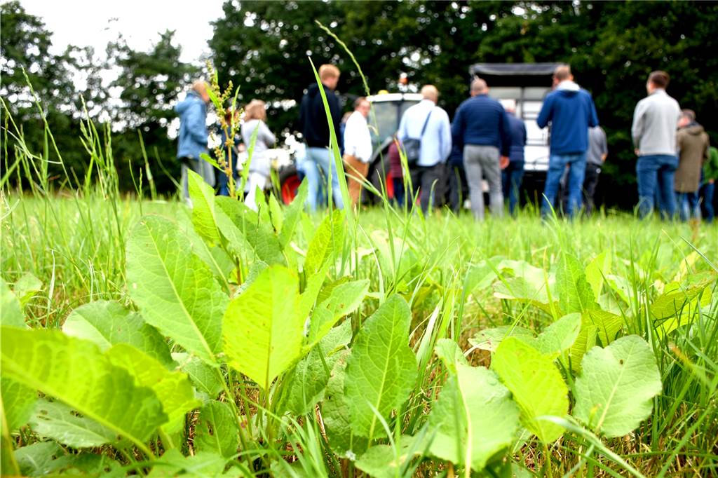 Legdener Landwirte begeistert vom Roboter auf dem Acker - gezielt Herbizid einsetzen Ampfer, ein Unkraut auf dem Grünland, wird an diesem Abend simuliert mit einem Herbizid besprüht. Tatsächlich ist bei der Vorführung nur Wasser im Tank. Die Maschine könnte auch andere Pflanzen erkennen. Das allerdings würde Aufpreis kosten.