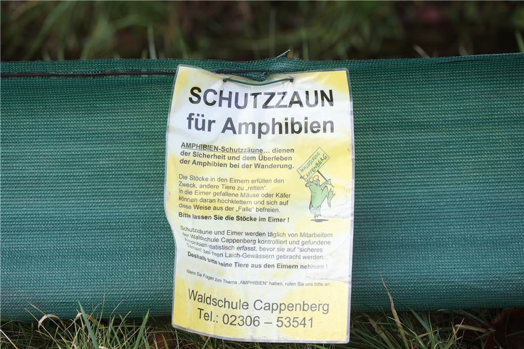 Waldschule Cappenberg als Lebensretter für Kröten und Frösche An den Zäunen hängen wichtige Hinweise zum Schutz der Amphibien.