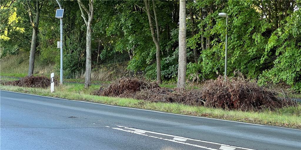 Entsorgung naht: Grünschnitt liegt seit Monaten an B224 in Dorsten An der B224 in Richtung Dorsten liegen zahlreiche Haufen aus vertrockneten Ästen. Sie sollen bald weggeräumt werden.