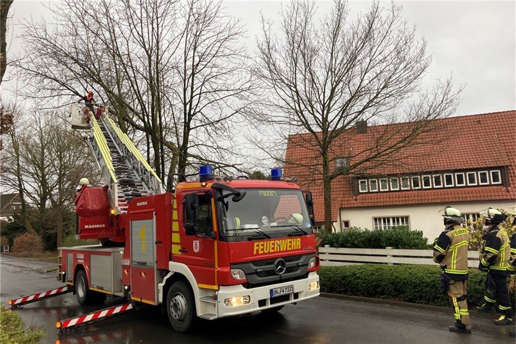 Sturm „Zeynep“ in Schwerte: Baum kippt auf Auto – Feuerwehr im Dauereinsatz An der Bergstraße drohte ein Baum auf die Fahrbahn zu kippen.