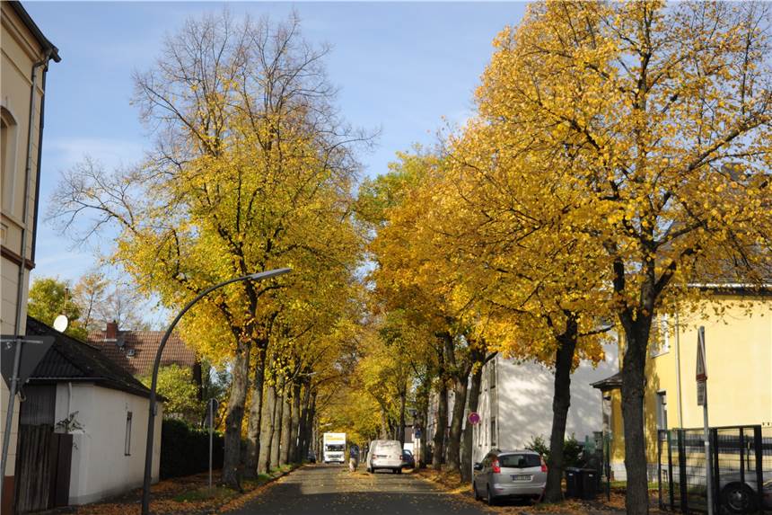 Albtraum: Einbrecher kamen, während die Bewohner im Bett lagen An der Bladenhorster Straße, hier auf einem Archivbild, stiegen in der Nacht zu Samstag Einbrecher in eine Erdgeschosswohnung ein.