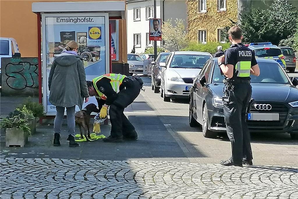 Brutaler Mord in Dortmund: Kripo sucht mit Spürhund nach Indizien An der Bushaltestelle ist die Spürnase auf ein Indiz gestoßen. Über ein Kleidungsstück des Tatverdächtigen bekommt der Hund einen neuerlichen Hinweis, wonach er suchen soll.