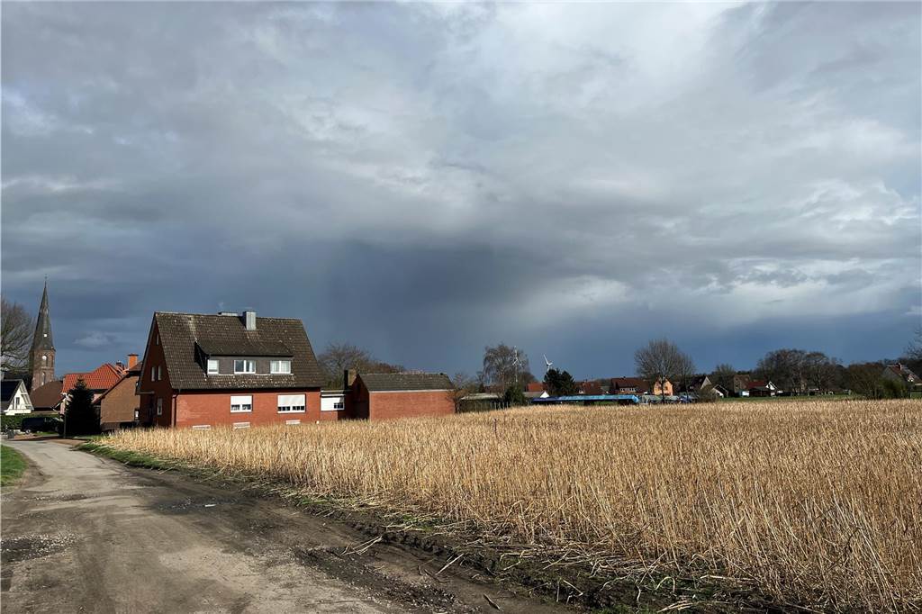 Baugebiet Buttstraße schrumpft: Ein Grundstückseigentümer steigt aus Blick auf ein Feld und ein Haus in Hullern