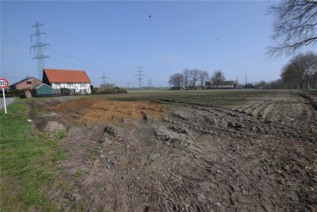 „Sich was gönnen“: Spargel ist noch begehrter als ohnehin schon An der Einmündung Im Dahl/Oststraße pflanzt Menken weiteren Spargel an. Die Nachfrage ist groß. Hier kann der Landwirt ab 2023 das Königsgemüse ernten.