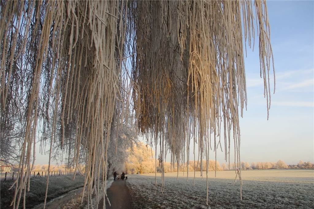 An der Funne in Selm waren die Bäume komplett mit Frost überzogen.