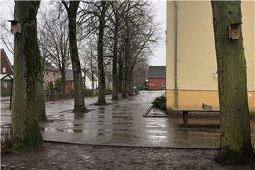 An der Grundschule in Flaesheim hat die Stadt im Herbst 20 von 100 Nistkästen aufgehängt.