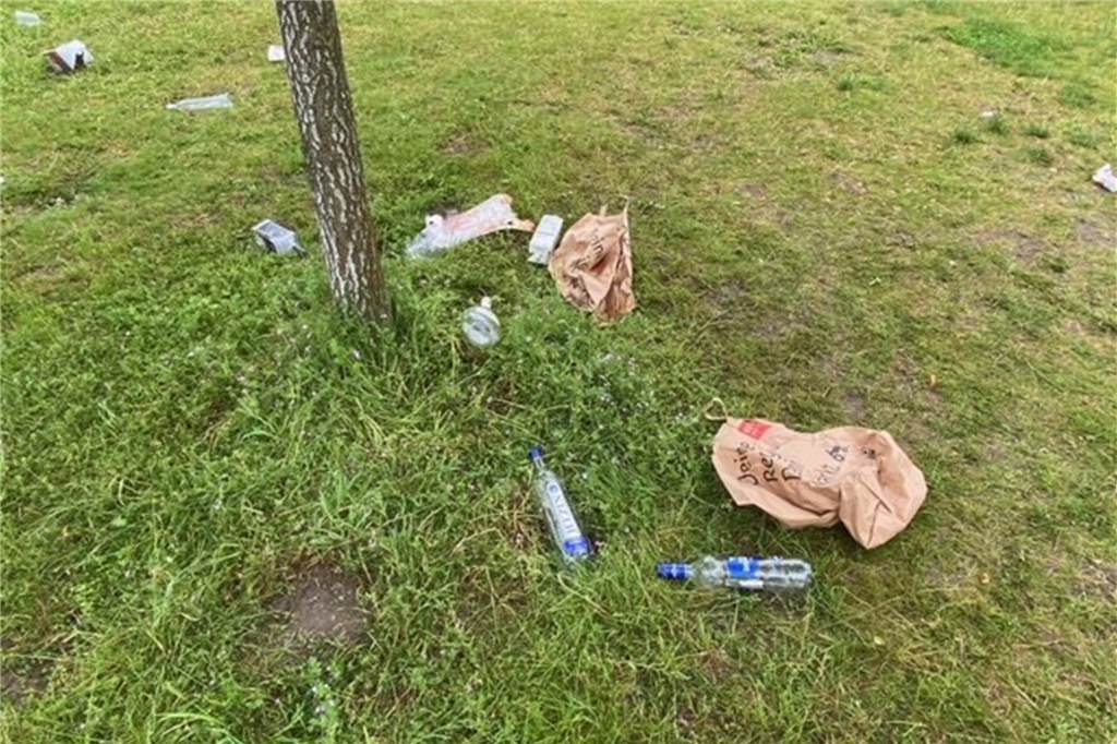 Hörde versinkt im Müll: „Die Kinder, die hier aufwachsen, tun mir Leid“ An der Halde Hympendahl bei Phoenix-West beobachten Anwohner und Besucher schon länger eine Partyszene, die unter anderem den Müll liegen lässt.