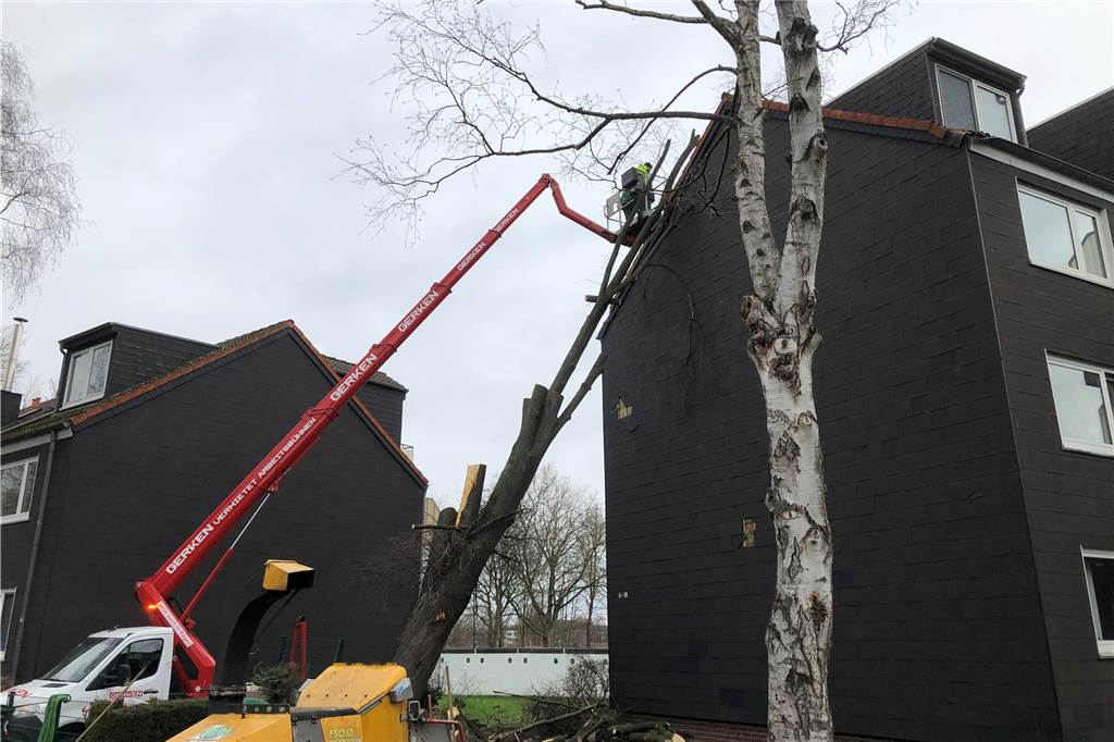 Buche stürzt auf Hühnerstall in Eving - Huhn legt vor Aufregung ein Ei An der Kortschstraße in Wickede war ein Baum gegen eine Hauswand gekracht und hatte das Dach beschädigt. Am Freitag liefen die Aufräumarbeiten