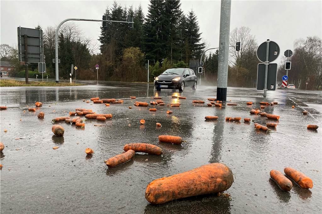 Kuriose Geschichten: Gestohlener Baum, Krabbe im Zug, rätselhafte Schilder Möhren liegen auf der Fahrbahn an der Kreuzung Sythener Straße/Münsterstraße in Haltern.