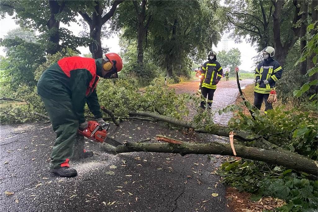 Viel Wasser, aber kaum Unwetter-Einsätze in Dorsten und Umgebung (mit Video) Baumkrone auf Straße
