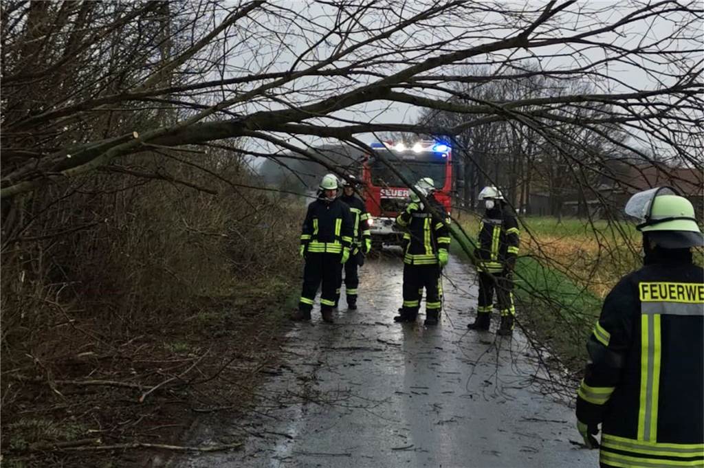 Ticker zum Sturm in Werne und Ascheberg: Antonia trifft ein - Ausfälle bei der Eurobahn An der Ondrup-Ondruper Straße war am Sonntagnachmittag ein Baum umgestürzt.