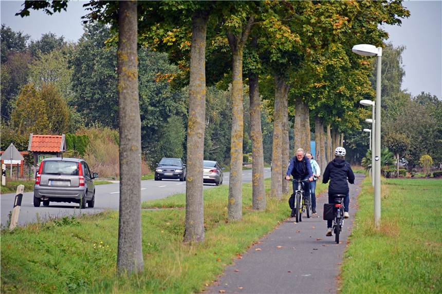 SPD-Politiker: „Bei der Verwaltung kommt es wohl darauf an, wer fragt!“ An der Otto-Hahn-Straße sollen zahlreiche Bäume gefällt werden, damit Platz für einen breiteren Radweg ist. Sechs kleinere Bäume können umgepflanzt werden.