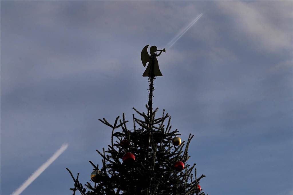 Weihnachten am Schloss: Neuer Blickfang im Innenhof rückt Gerüst in den Hintergrund An der Spitze hat der Weihnachtsbaum einen Engel.