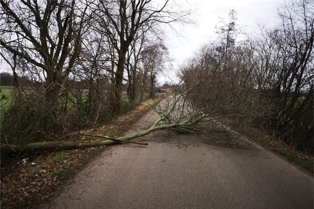 An der Straße Hörnefort in Raesfeld musste die Feuerwehr einen Baum von der Straße entfernen.