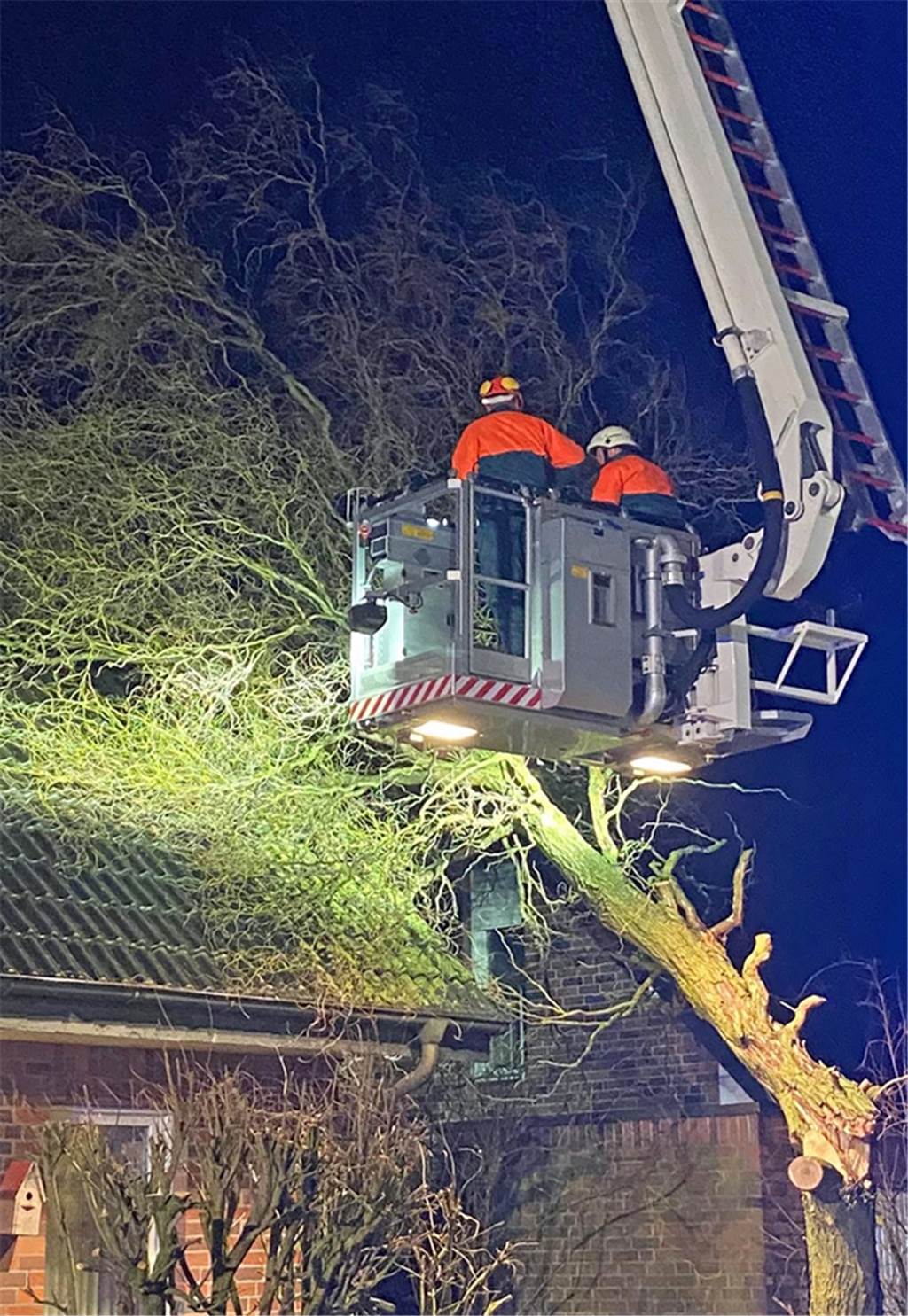 Die große Sturm-Bilanz: Mehrere Hundert Einsätze und zwei größere Schäden im Münsterland An der Straße Schmitterfeld in Stadtlohn ist ein Baum auf ein Wohnhaus gestürzt. Menschen wurden nicht verletzt.