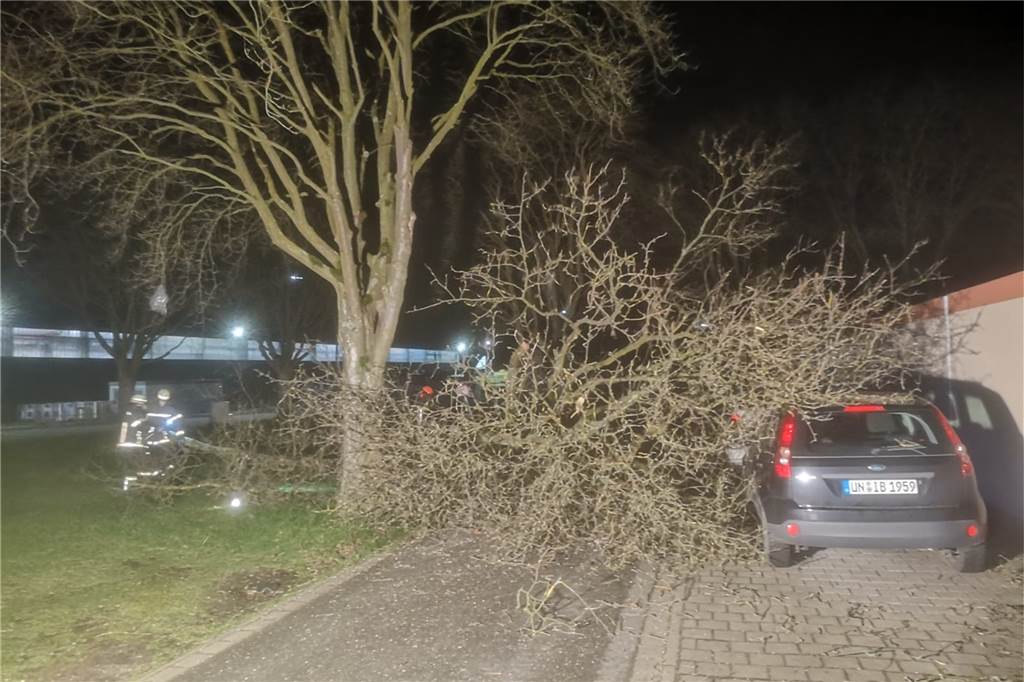 Ticker zum Sturm in Werne und Ascheberg: Antonia trifft ein - Ausfälle bei der Eurobahn An der Waldstraße mussten ebenfalls heruntergestürzte Äste und Bäume weggeräumt werden.