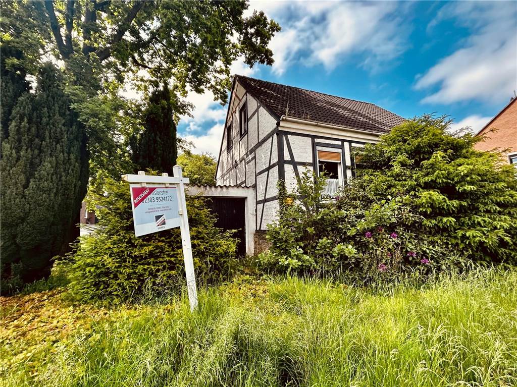 Gerodete Fläche und ein altes Haus – Gerüchte um Kita-Neubau An die gerodete Fläche am Sportplatz schließt sich im Norden dieser Bereich an, der zum Verkauf steht. Hier könnte die Kita gebaut werden.