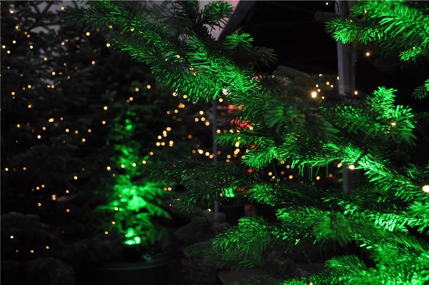 Glitzerwald in Selm bleibt am Sonntag geschlossen - das ist der Grund An diesem Sonntag (24.11.) lohnt der Besuch des Glitzerwaldes nicht.