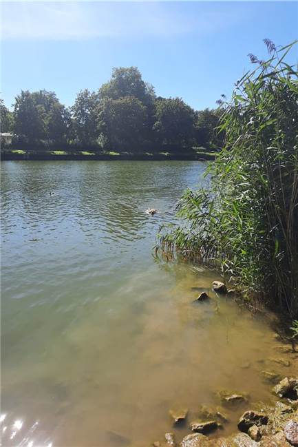 Hündin Nala verletzte sich am Kanal schwer: Frauchen warnt An dieser Stelle am Dorstener Kanal hat sich Nala schwer verletzt.