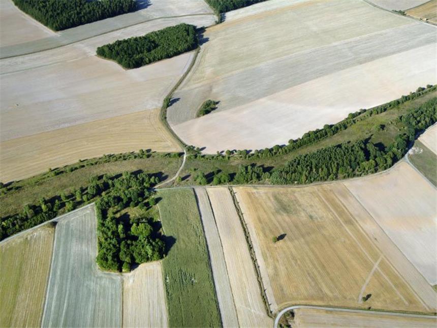 Deutsche Teilung: Zeitgeschichte entlang des Grünen Bandes An dieser Stelle zwischen Bayern und Thüringen sieht die alte Grenze tatsächlich aus wie ein Grünes Band. Heute lassen sich entlang des Streifens zahlreiche Relikte aus der Zeit der deutschen Teilung entdecken. Foto: BUND/Klaus Leidorf