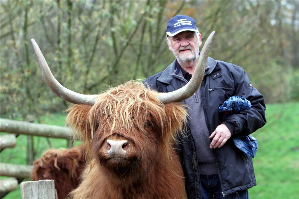 Folgen des Lippehochwassers: „Unspektakulärer, als viele denken“ Konrad Linnemann mit einem seiner Highland-Rinder