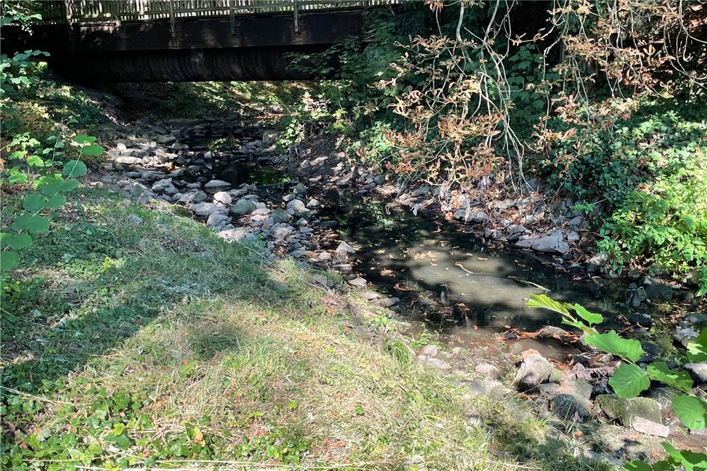 Rinnsal statt Fluss: Hitze setzt der Horne in Werne extrem zu Ein ausgetrockneter Fluss