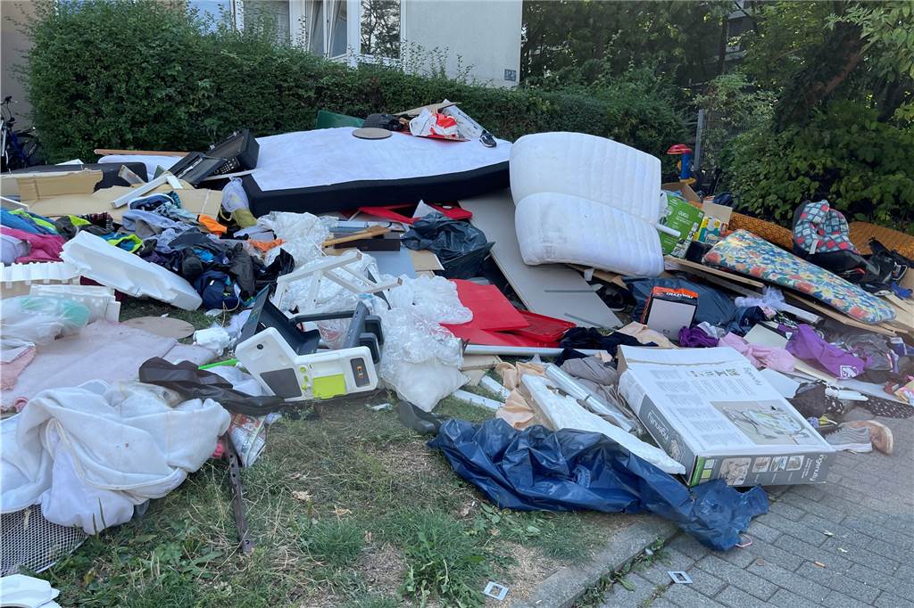 Hochschwangere Stephanie Butt muss in Scharnhorst über Sperrmüllberge kraxeln An manchen Stellen im Stadtbezirk Scharnhorst türmt sich nach der gebührenfrei Sperrmüll-Aktion der EDG weiter der Müll. Die EDG-Mitarbeiter hätten es nicht mehr geschafft, ihn abzutransportieren, heißt es vom Entsorgungsunternehmen. Privatgelände dürfen die Müllwerker ohnehin nicht betreten.