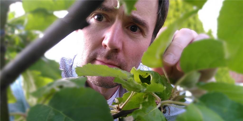 Amsel-Angriffe und fiese Fußbälle: Machtkampf in unserem Garten An seinem Apfelbaum kennt Papatastisch-Autor Thomas Raulf jeden Zweig. Es fällt sofort auf, wenn einer abbricht. Verdächtig: Wieder mal ein Fußball-Angriff?