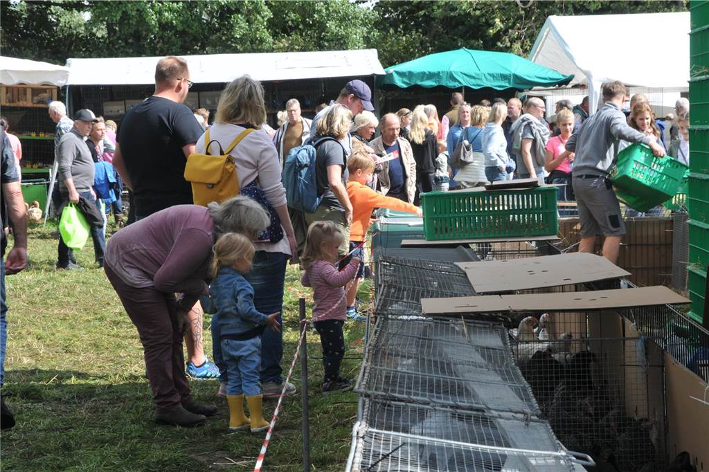 Marktgetümmel und Kleintierbörse: Das sind die Fotos vom Düstermühlenmarkt am Sonntag An Tag zwei vom Düstermühlenmarkt in Legden fand die Agrar- und Wirtschaftsschau und der Kleintiermarkt statt. Außerdem konnten sie die Besucher auf verschiedene Fahrgeschäfte und dem Duell der Marktschreier freuen.