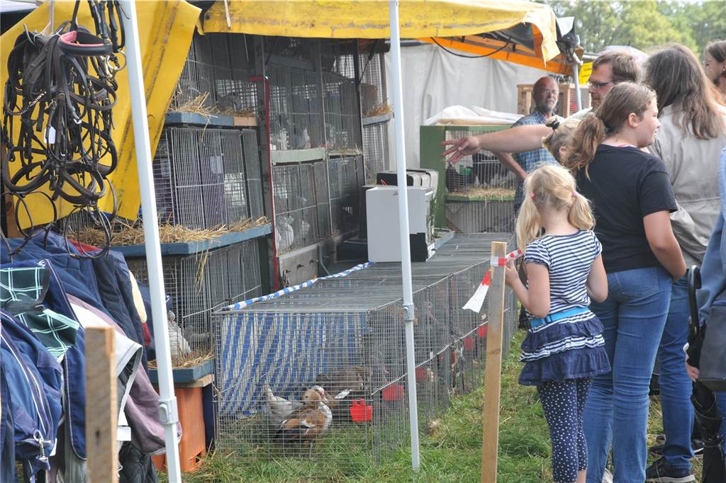 Marktgetümmel und Kleintierbörse: Das sind die Fotos vom Düstermühlenmarkt am Sonntag An Tag zwei vom Düstermühlenmarkt in Legden fand die Agrar- und Wirtschaftsschau und der Kleintiermarkt statt. Außerdem konnten sie die Besucher auf verschiedene Fahrgeschäfte und dem Duell der Marktschreier freuen.