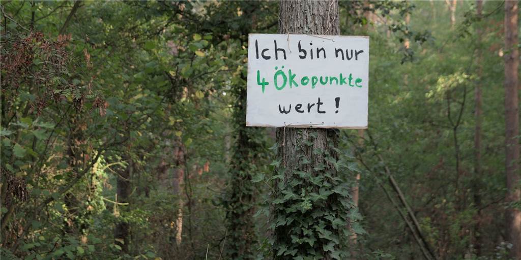 Schilder-Protest im Wald gegen Neue Stever – Stadt Olfen handelte schnell An zahlreichen Bäumen hingen am Montag (12.9.) Protest-Schilder mit Kritik zur Neuen Stever.