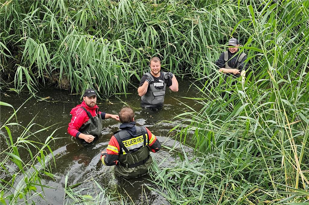 Spezialarbeiten in der Dinkel: Angelverein und Feuerwehr im Einsatz An zwei Stellen – oberhalb unter unterhalb des Wehres – wurden die Strömungslenker installiert.